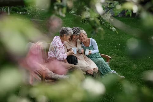 3 older women on a park bench, talking